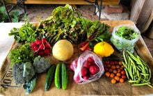 Load image into Gallery viewer, Large Farm Box Subscription (Extra meat & Eggs)