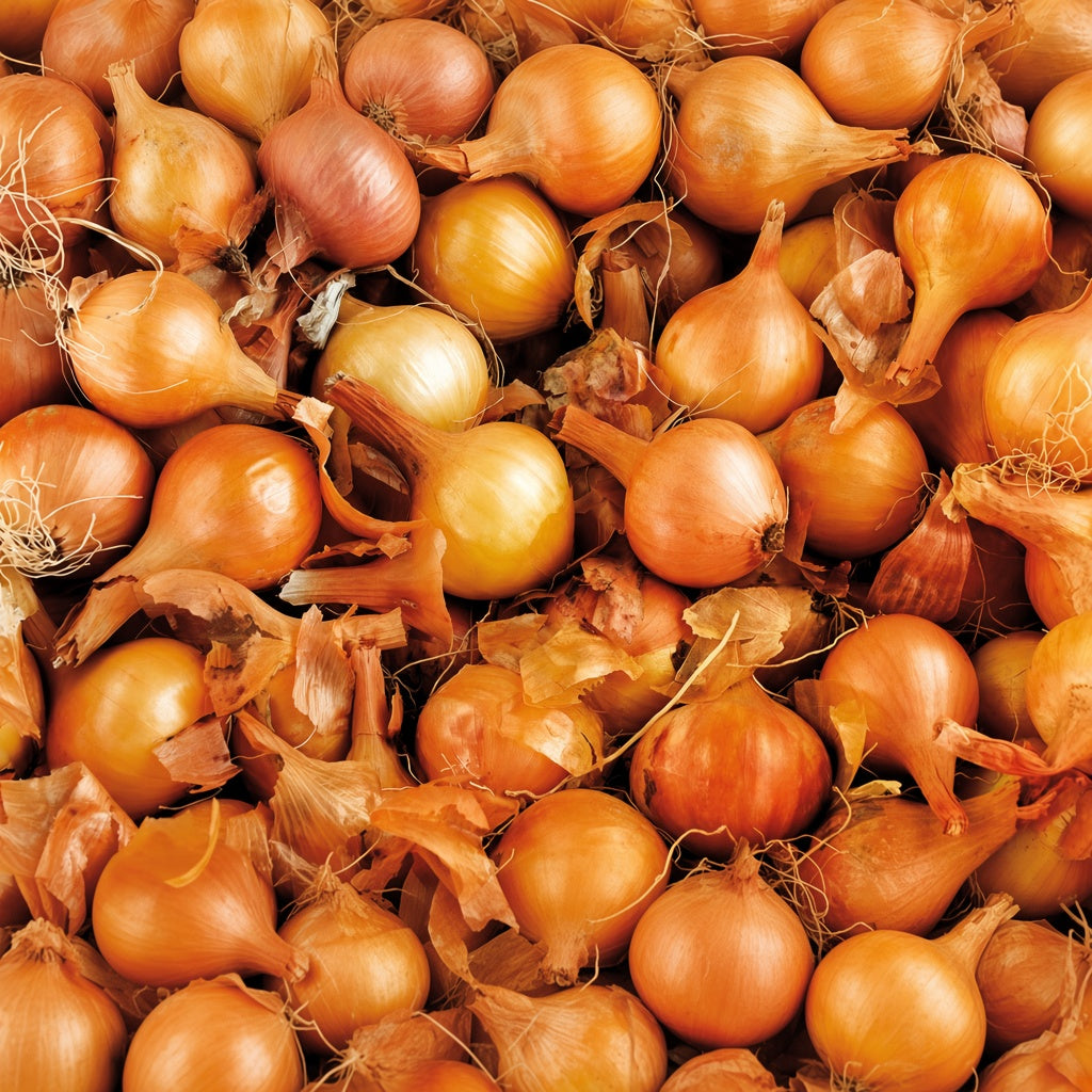 Onions, 2lbs