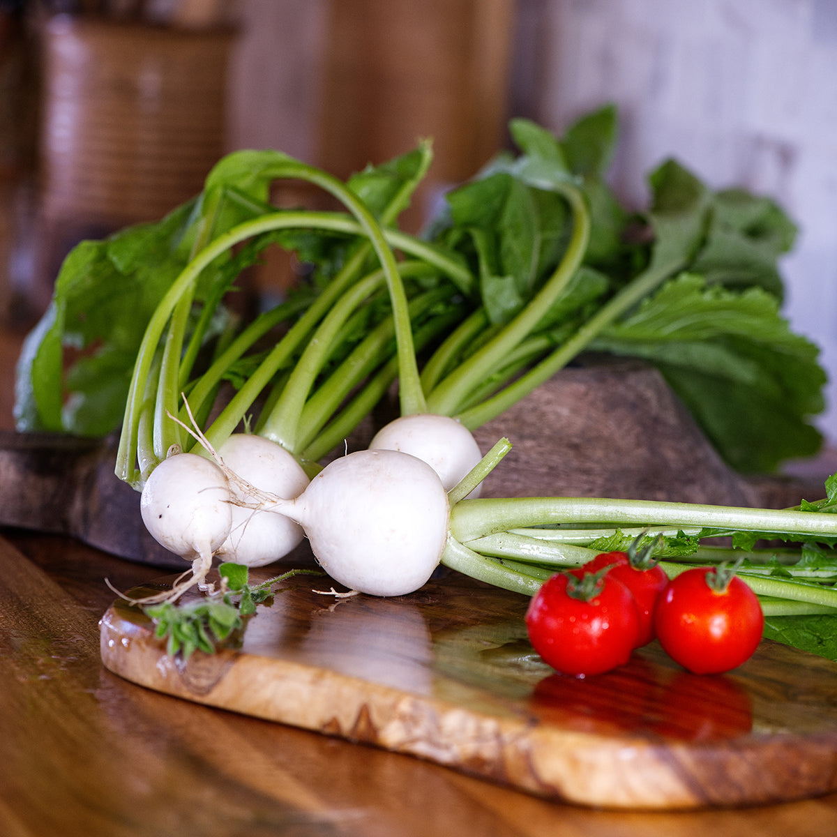 Salad Turnips