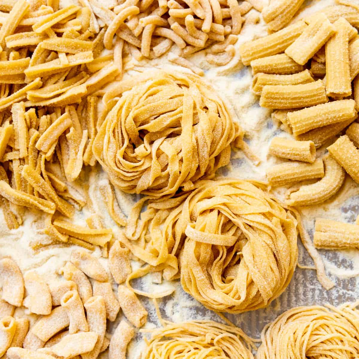 Fresh Pasta