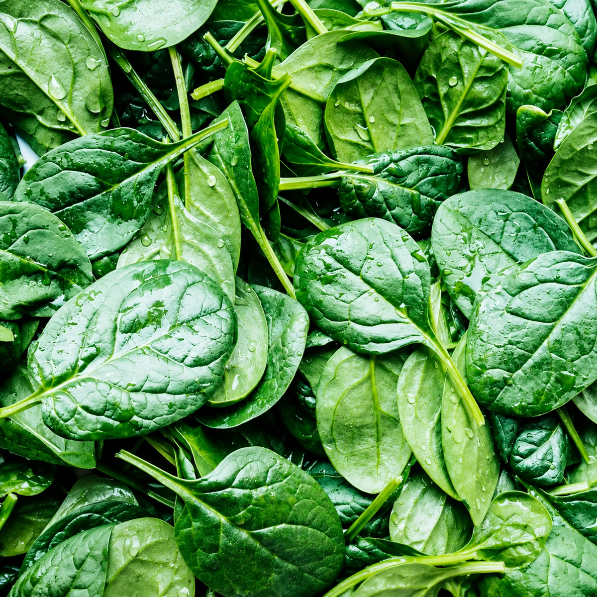 Spinach, 0.75 lbs