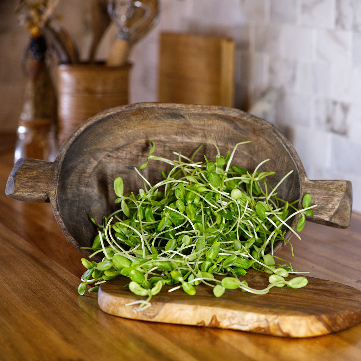 Sunflower Microgreens