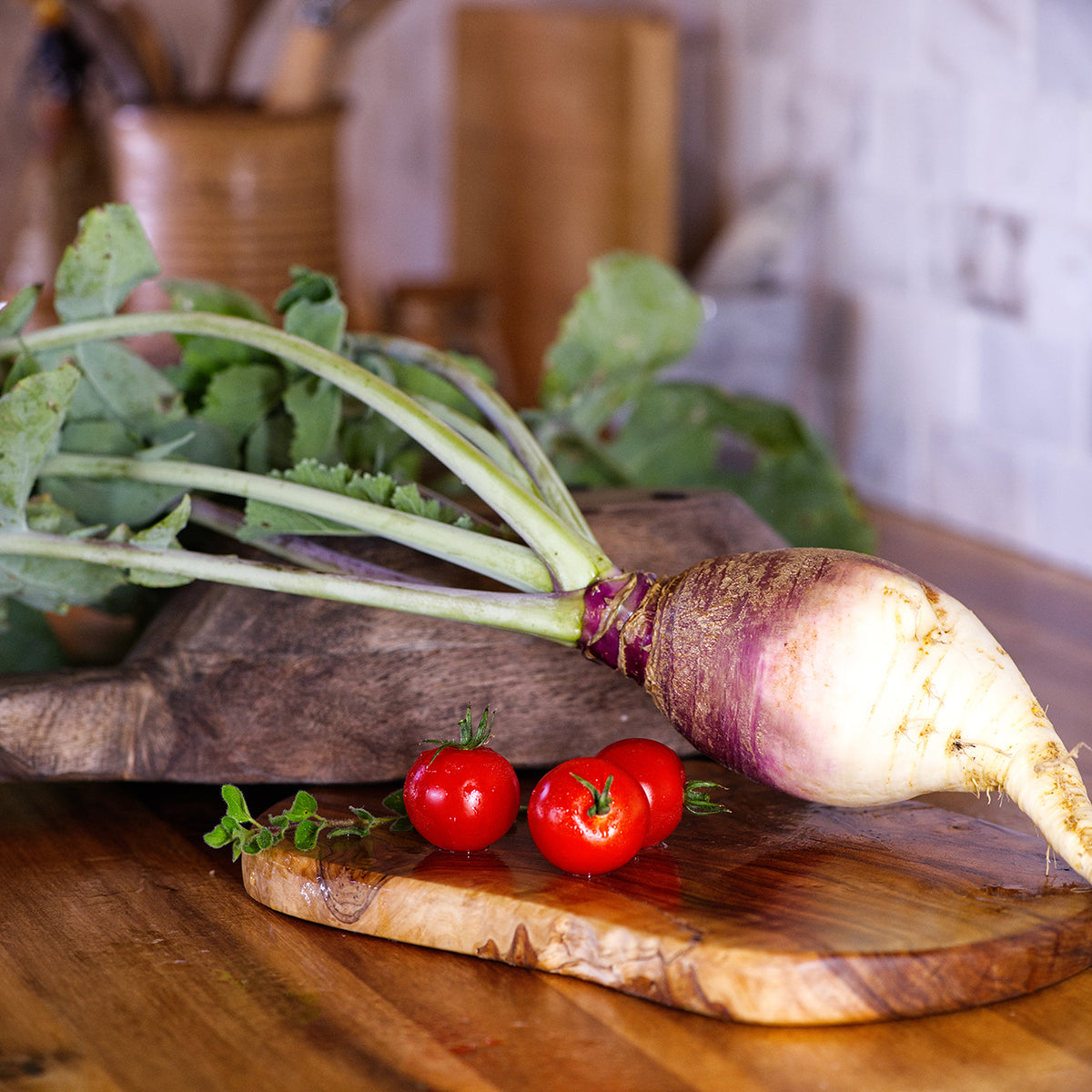 Turnip