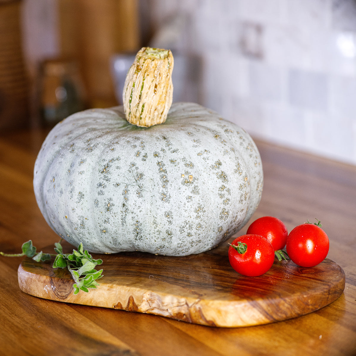 Winter Squash