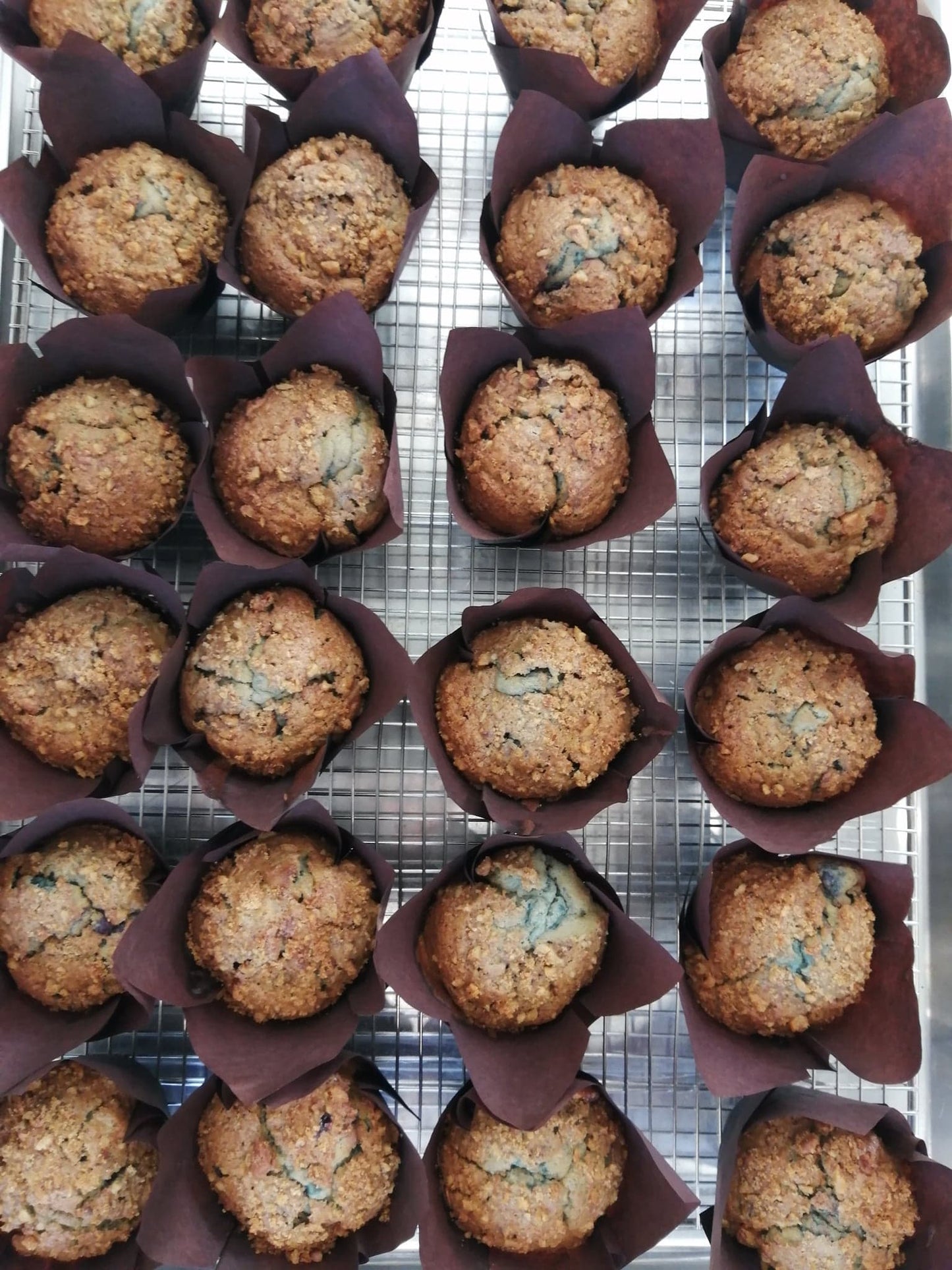 Blueberry Muffins