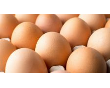Farm Fresh Eggs