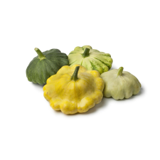 Squash, Patty Pan
