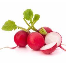 Radish, Bunched